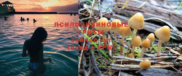 мяу мяу мука Богданович