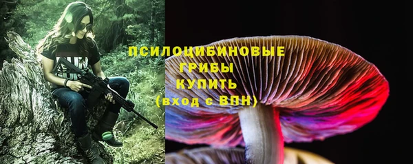 мяу мяу мука Богданович