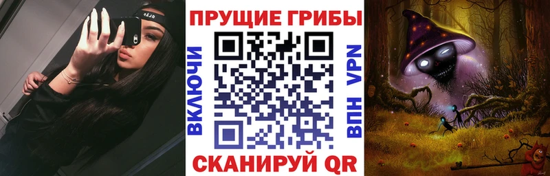 Купить где  Суровикино  Псилоцибиновые грибы GOLDEN TEACHER 